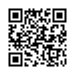 T38432-24-0 QRCode