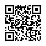 T38433-02-0 QRCode