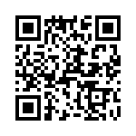 T38433-13-0 QRCode