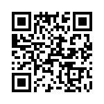 T38435-21-0 QRCode