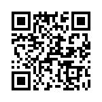 T38437-10-0 QRCode