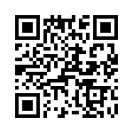 T38438-01-0 QRCode