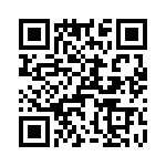 T38440-04-0 QRCode