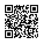 T38440-09-0 QRCode