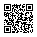 T38440-16-0 QRCode