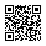 T38441-04-0 QRCode