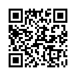 T38441-13-0 QRCode