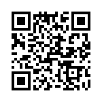 T38447-01-0 QRCode