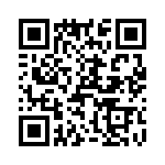 T38447-13-0 QRCode