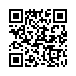 T38447-16-0 QRCode