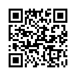 T38460-02-0 QRCode