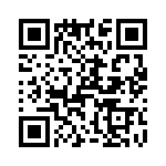 T38460-17-0 QRCode