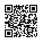 T38461-15-0 QRCode