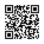 T38461-16-0 QRCode