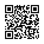 T38462-06-0 QRCode