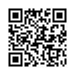 T38462-12-0 QRCode