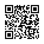 T38462-17-0 QRCode