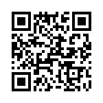 T38462-22-0 QRCode