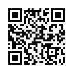 T38463-06-0 QRCode