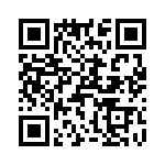 T38463-07-0 QRCode