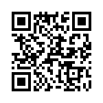 T38463-12-0 QRCode