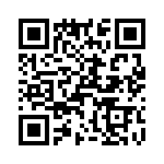 T38510-02-0 QRCode