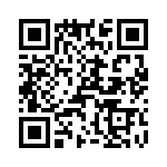 T38510-11-0 QRCode
