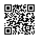 T38510-16-0 QRCode