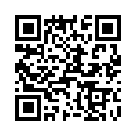 T38510-22-0 QRCode