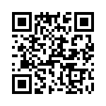 T38511-10-0 QRCode
