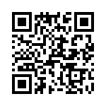 T38511-18-0 QRCode