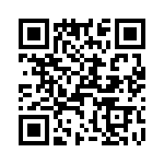 T38512-06-0 QRCode
