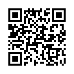 T38512-20-0 QRCode