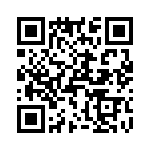 T38513-03-0 QRCode