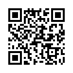 T38513-05-0 QRCode