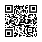 T38513-12-0 QRCode