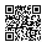 T38513-18-0 QRCode