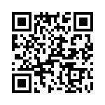 T38515-11-0 QRCode