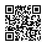 T38517-10-0 QRCode