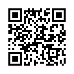 T38517-13-0 QRCode