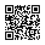 T38520-17-0 QRCode