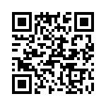 T38520-24-0 QRCode
