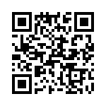 T38521-22-0 QRCode