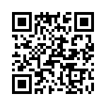 T38522-01-0 QRCode