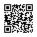 T38522-21-0 QRCode