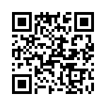 T38522-22-0 QRCode