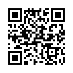 T38523-06-0 QRCode