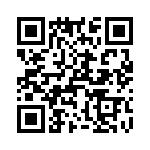 T38525-09-0 QRCode