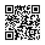 T38525-13-0 QRCode