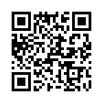 T38527-10-0 QRCode